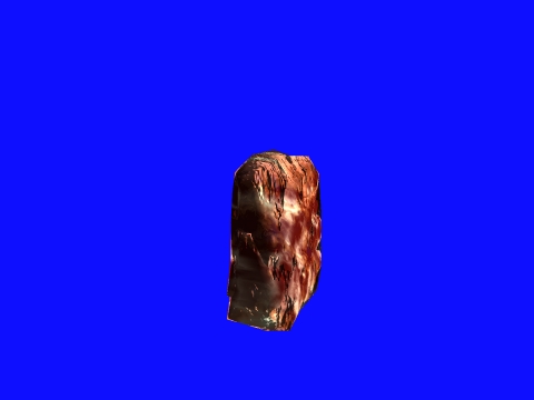 the rock 1